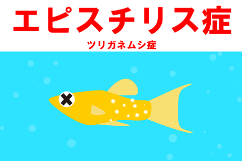 エピスチリス症の症状と治療法 エピスチリス症の症状と治療法