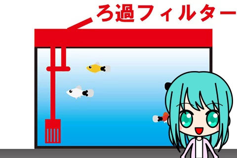 水槽のフィルターの種類と選び方