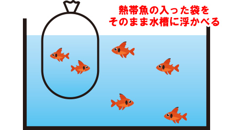 水温を合わせる