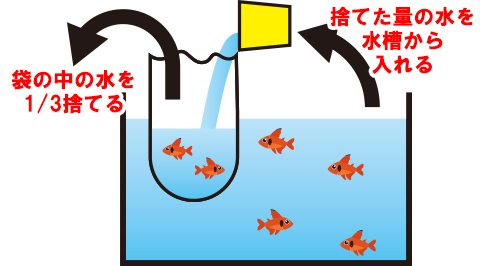 水質を少しずつ合わせる