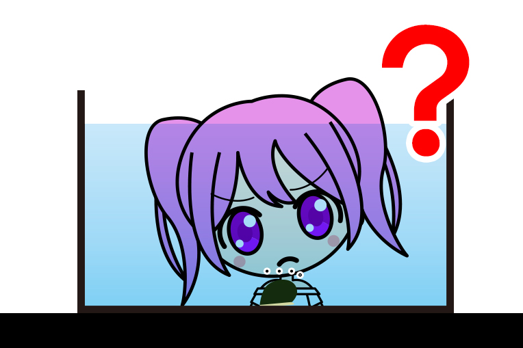 石巻貝って死んだらどうなるの?
