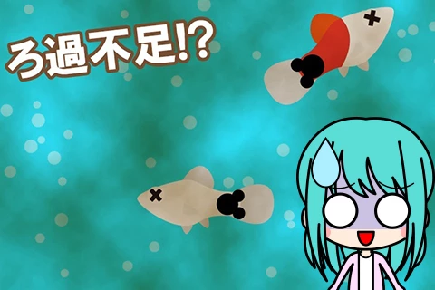 こんな症状に注意!?水槽のろ過不足症状と対策