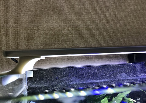 照明の必要性