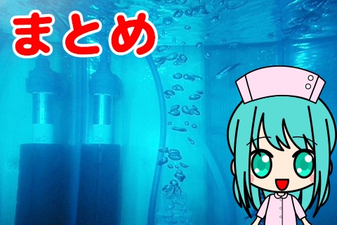 薬浴の【まとめ】熱帯魚の薬浴を成功させるためのポイント