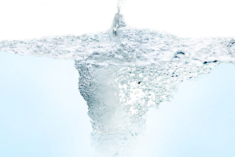 綺麗な水と酸素が豊富に溶け込んだ環境が必要!!