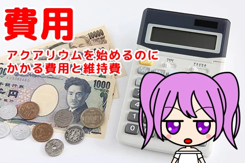 【熱帯魚飼育の費用】アクアリウムを始めるのにかかる費用と維持費
