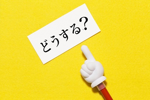 コケの種類について