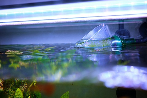 水草を育てるのに必要な道具