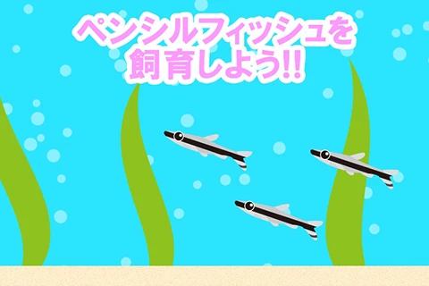 ペンシルフィッシュを飼育しよう!!