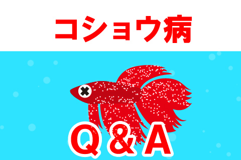 コショウ病に関するよくある質問
