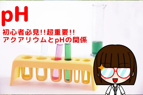 【初心者必見!!超重要!!】アクアリウムとphの関係