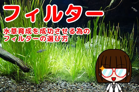 水草育成を成功させる為のフィルターの選び方