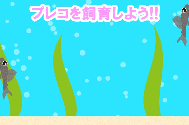 プレコを飼育しよう!!