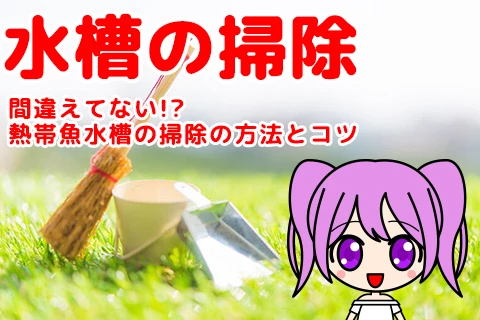 【間違えてない!?】熱帯魚水槽の掃除方法