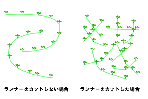 ランナーの伸び方