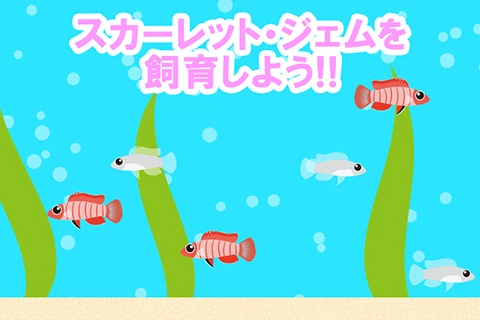 スカーレット・ジェムを飼育しよう!!