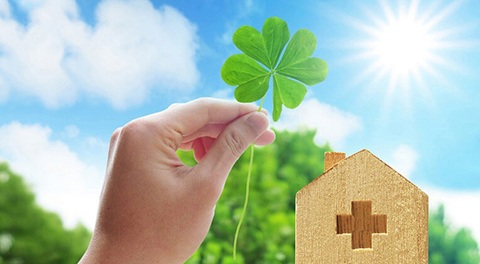 イカリムシ症の治療法