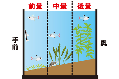 水草レイアウト