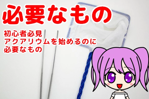 アクアリウムを始めるのに必要なもの