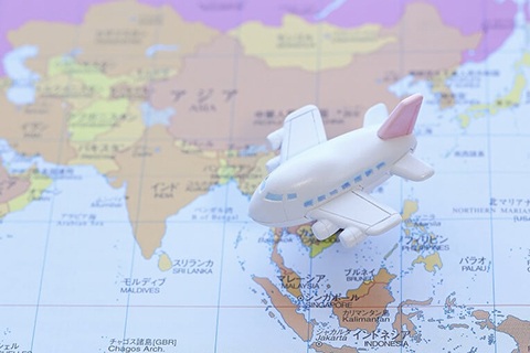 長期間家を空けるときの餌やり