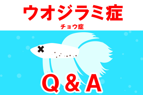 ウオジラミに関するFAQ