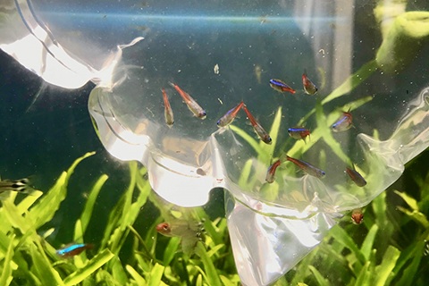 水合わせが必要な理由