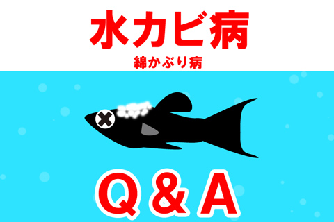 腹水病に関するFAQ