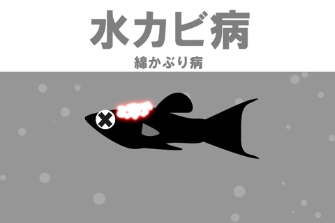 水カビ病の原因は?3つの要因に注意!!