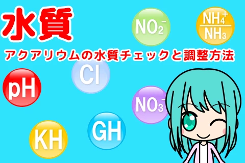アクアリウムの水質チェックと調整方法