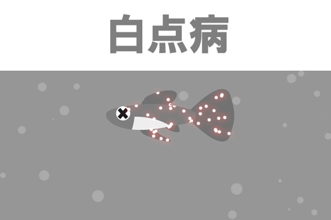 寄生虫が原因？白点病の原因を解説