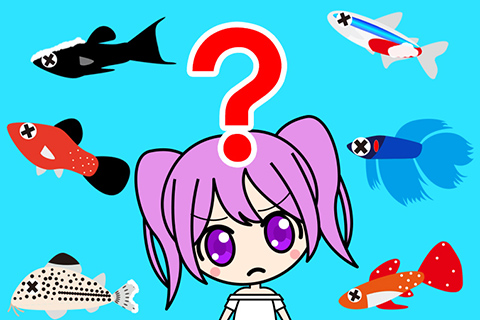 なぜ熱帯魚は病気になるのか？その要因は大きく2つ