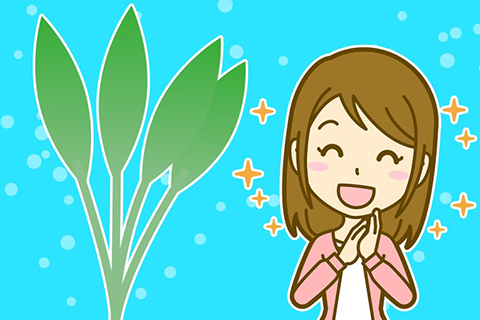 枯れた水草の復活方法は？